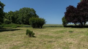 Un campo cubierto de césped con árboles y cielo despejado.