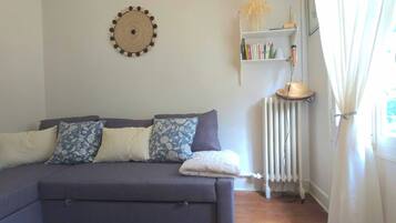 Smart TV, fireplace, books, computer monitors