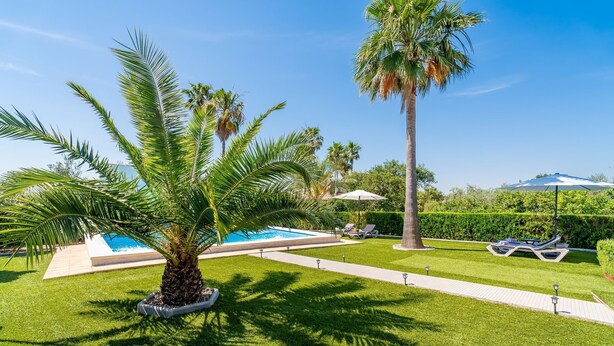 A pool area with palm trees, lounge chairs, and a clear blue sky. - El Azahar Holiday Home (La Puebla de Cazalla)
