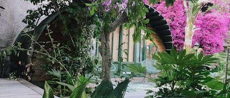Terraza o patio