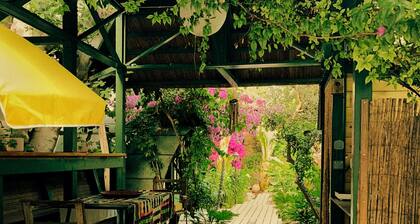 L'OASIS du PANIER