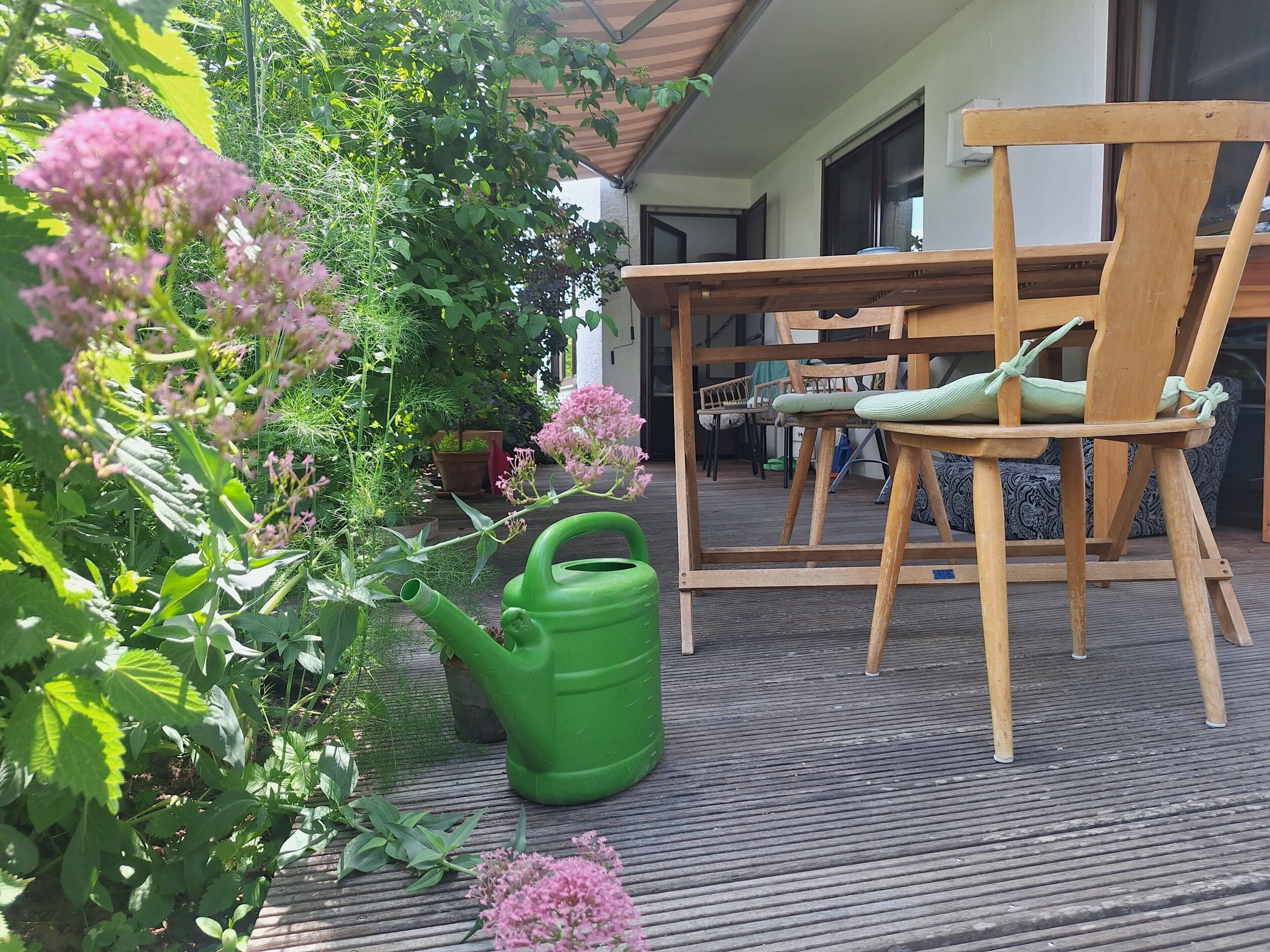 Terraza o patio