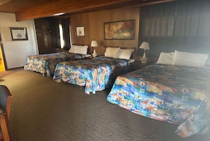 1 habitación 