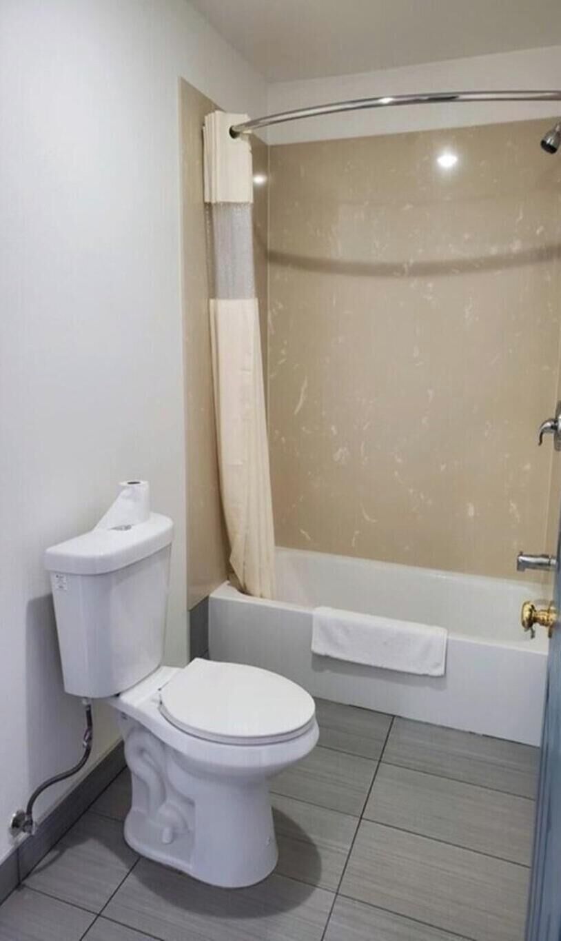 Shower, hair dryer