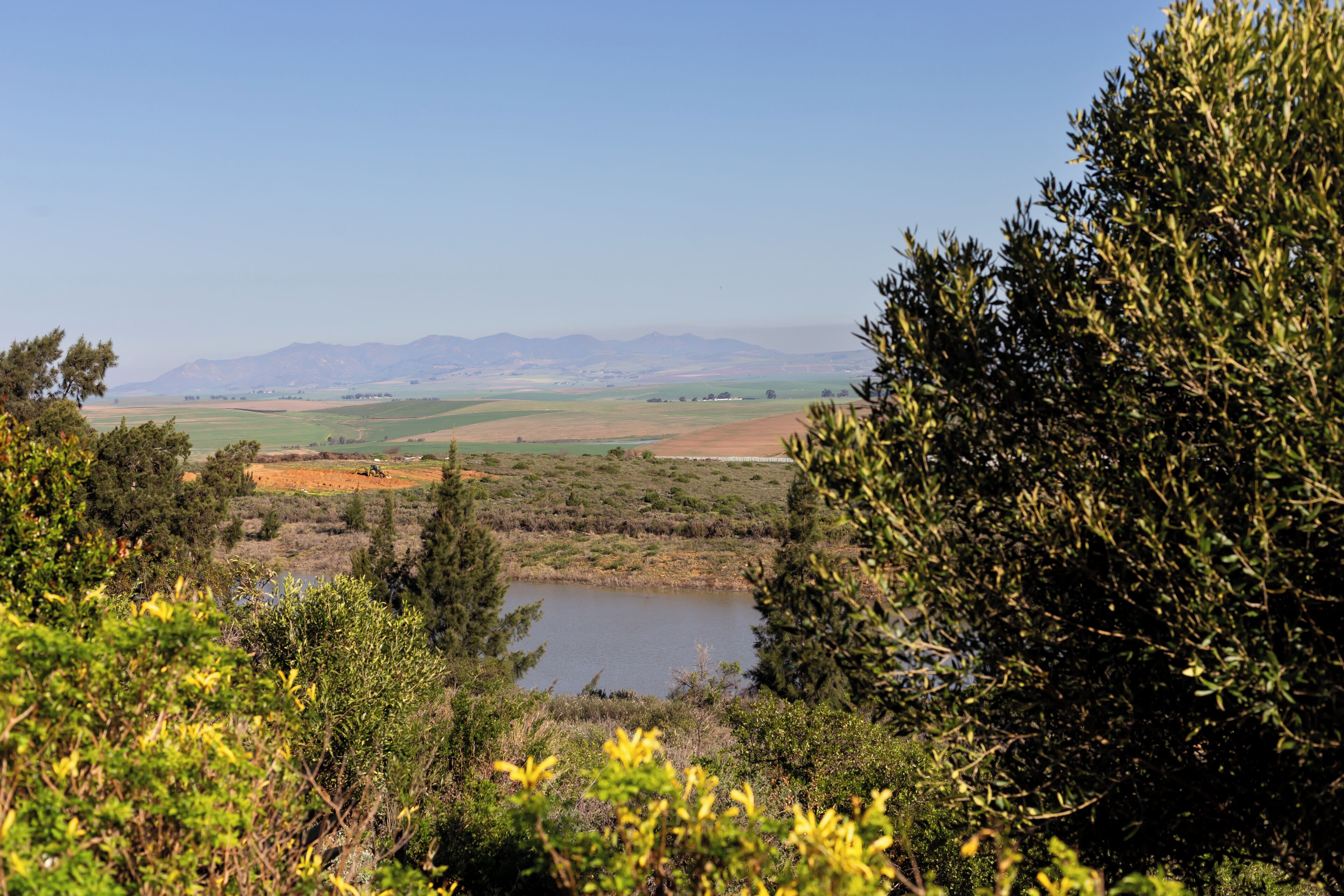 A natural landscape with a lake, trees, and distant mountains.