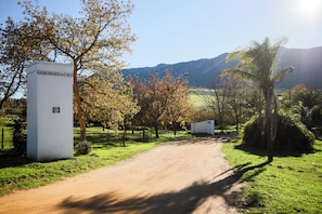 A dirt path leading to a white building with a sign, surrounded by trees and a mountain in the background.
