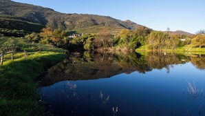 A tranquil lake with a clear reflection, surrounded by lush greenery and hills.