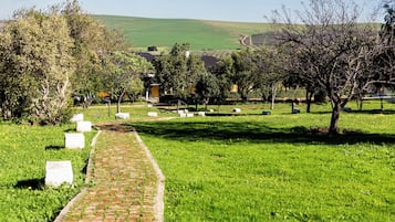 Un camino pavimentado que serpentea entre un área cubierta de césped, con árboles y estructuras blancas, probablemente tumbas, en un entorno rural.
