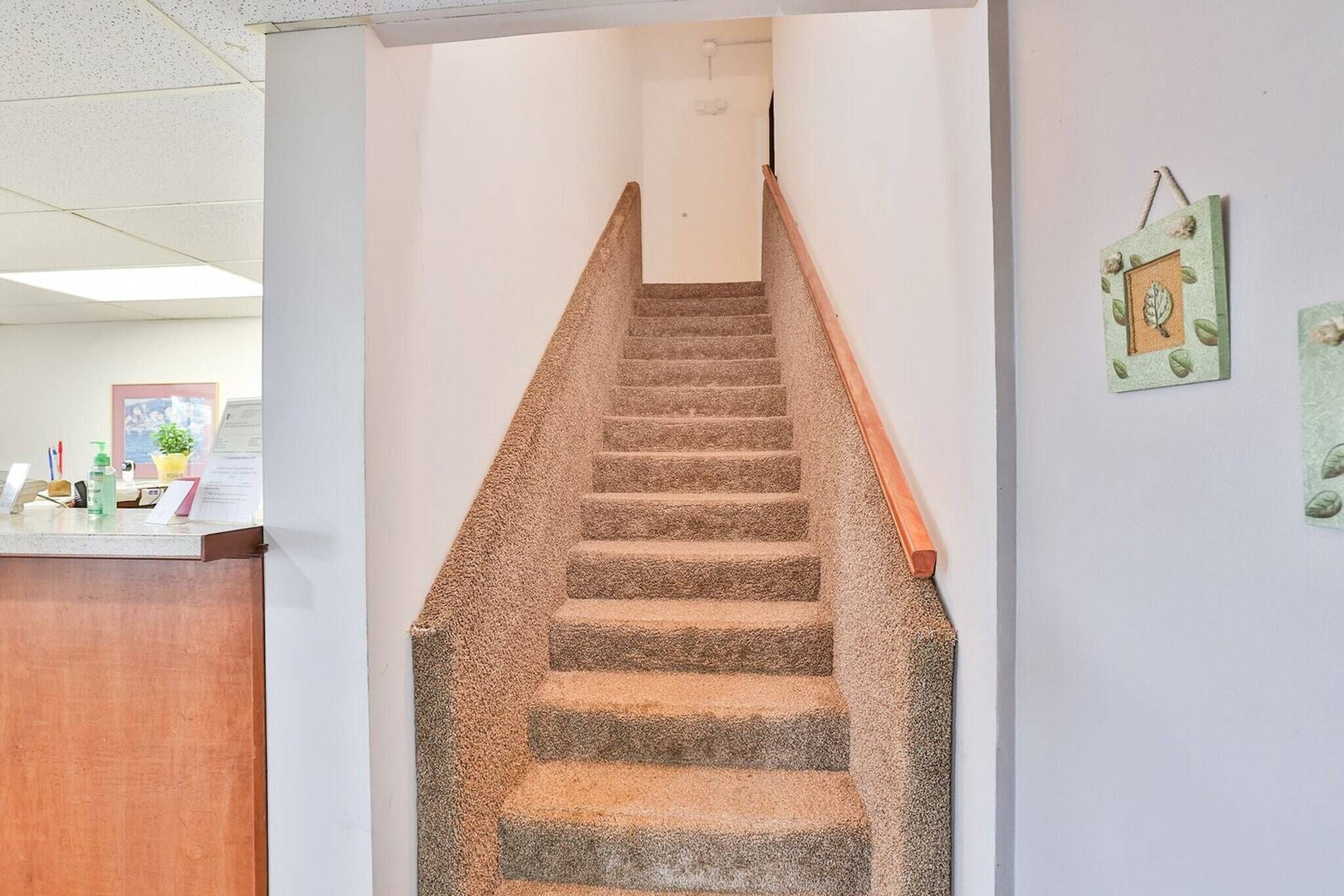 Een betegeld trappenhuis met een houten leuning, een receptiebalie met een plant en lijstwerken aan de muur.