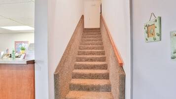 A carpeted staircase with a wooden handrail, a reception desk with a plant, and framed artwork on the wall.