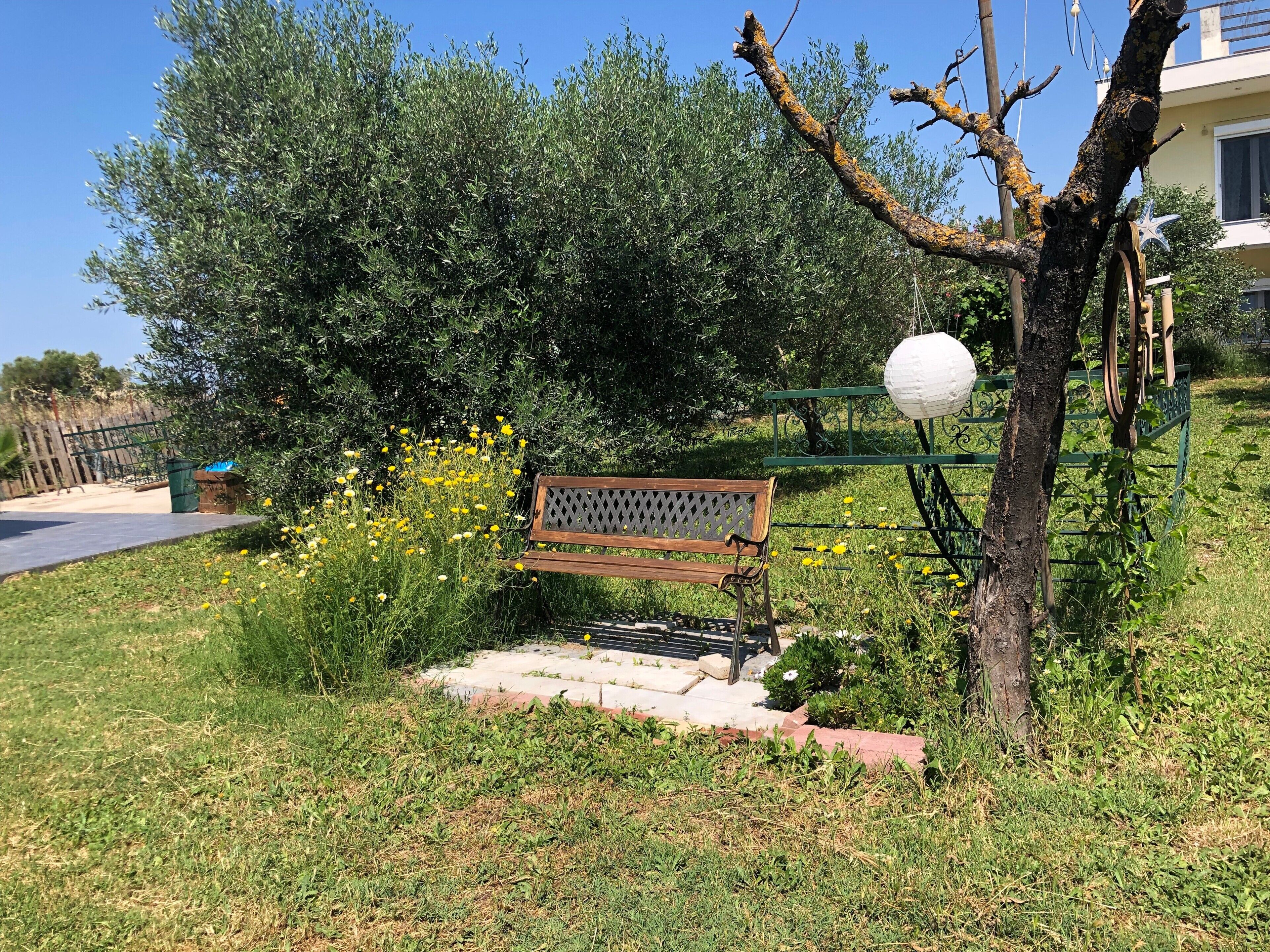 Terrasse/gårdhave
