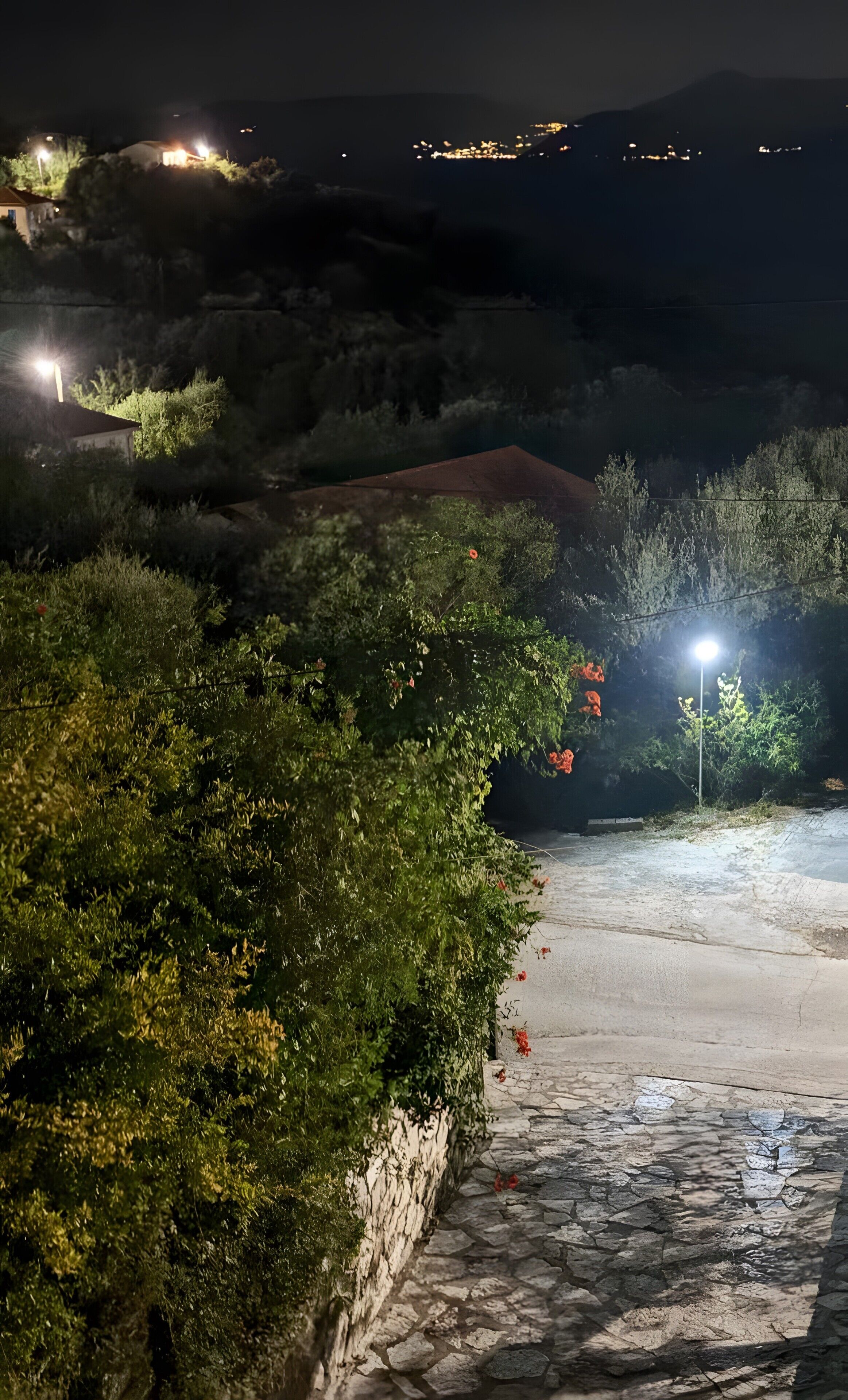 Ein Nachtblick auf einen Steinweg, der zu einem Gebäude mit rotem Dach führt, umgeben von Grünflächen und beleuchtet von Straßenlaternen.