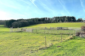 Een omheind veld met een poort, een bankje en een rij bomen op de achtergrond.