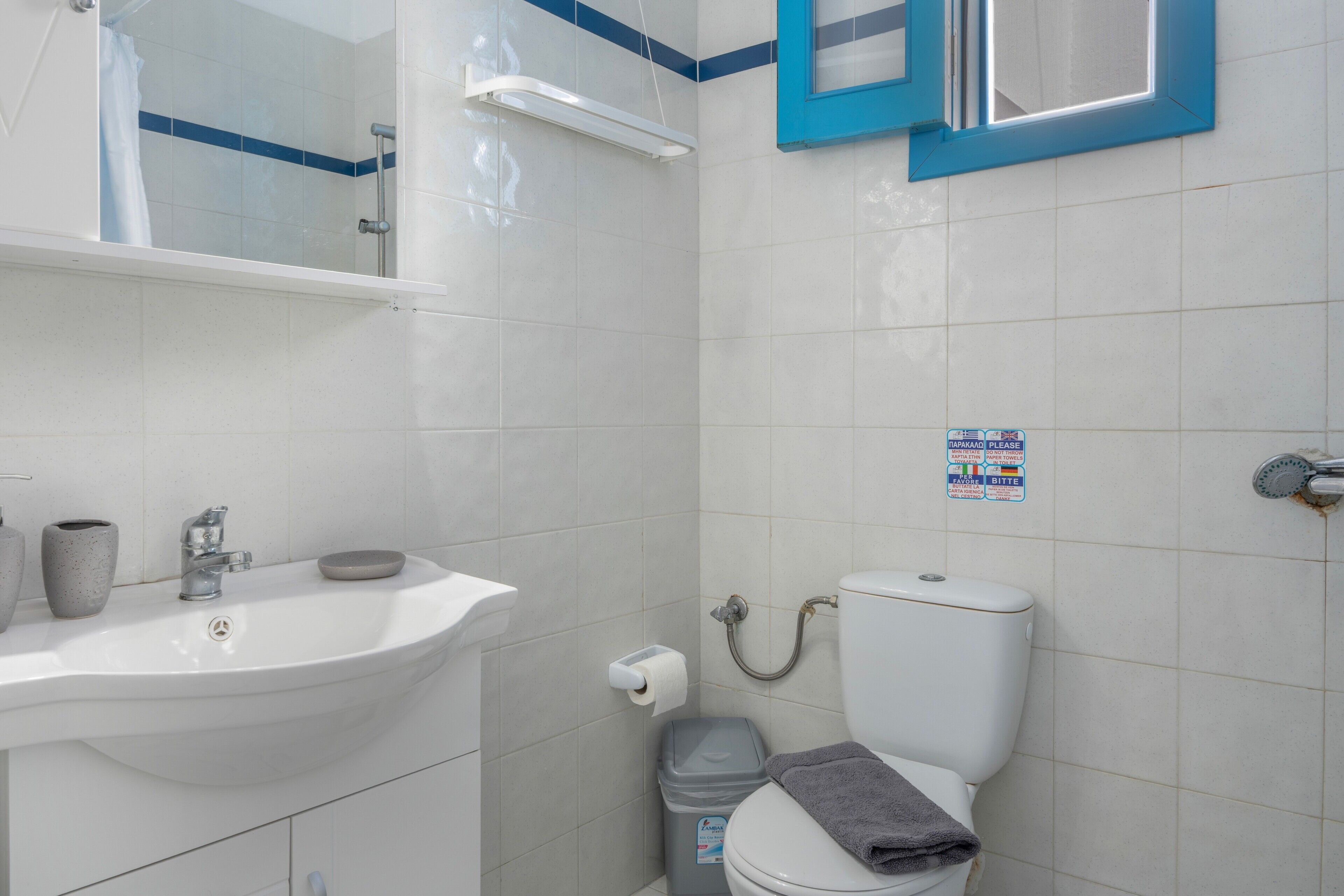 A bathroom with a white sink, a toilet, a trash bin, and a shower area.