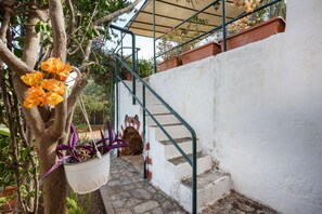 Una scala con ringhiera in metallo, un muro bianco e un vaso sospeso con fiori.