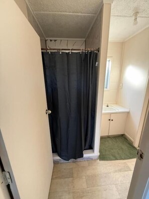 Un bagno con tenda doccia, lavandino e un piccolo tappeto.
