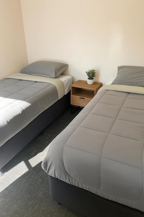 Ein Doppelzimmer mit zwei Betten, einem kleinen Nachttisch mit Pflanze und einem zusätzlichen Tisch.