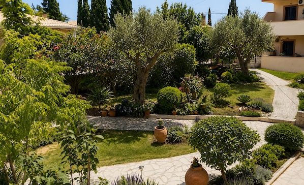 Un jardí amb plantes variades i un camí de pedra.