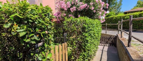 A pathway flanked by lush greenery and a pink flowering bush, leading to a building with a brick facade and a spherical glass structure.