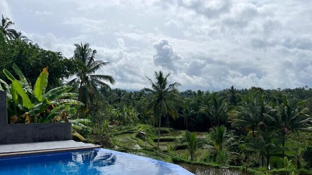 A swimming pool with a view of terraced fields and palm trees.