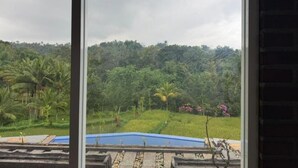 A view through a window of a lush landscape with a blue pool, dense greenery, and a brick wall.