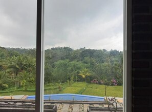 Vista a través de una ventana de un paisaje exuberante con una piscina azul, follaje denso y un muro de ladrillo.