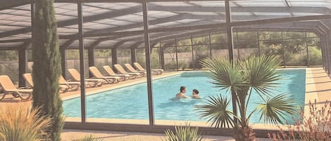 A swimming pool with lounge chairs, surrounded by desert plants, under a glass roof.