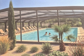 Une piscine entourée de chaises longues et bordée de plantes désertiques, le tout sous une verrière.