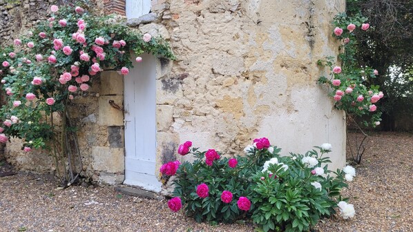 A rustic stone building with a white door and pink roses climbing the walls.
