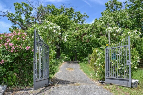 Ein Weg, der durch einen Garten mit Metalltoren führt, umgeben von üppigem Grün und blühenden Pflanzen.