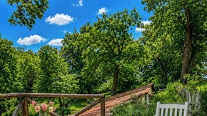 A wooden deck with a round table and two white chairs, surrounded by lush greenery and a clear blue sky. - Il Casale dei Castagni (Caprarola)