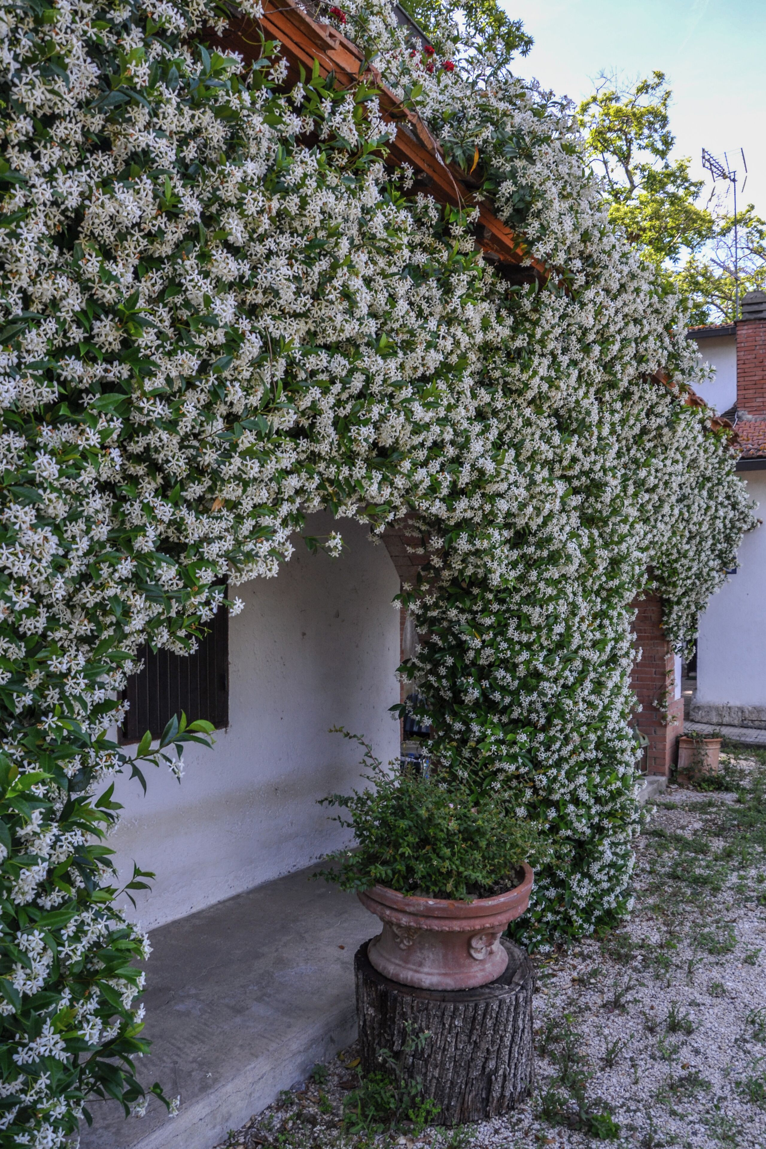 Villa, Balcony, Garden View | Exterior detail
