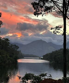 A serene landscape with a mountain, a body of water, and dense foliage.