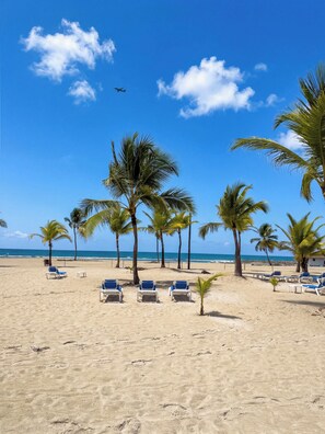 Ein Strand mit Palmen, Liegestühlen und blauem Himmel.