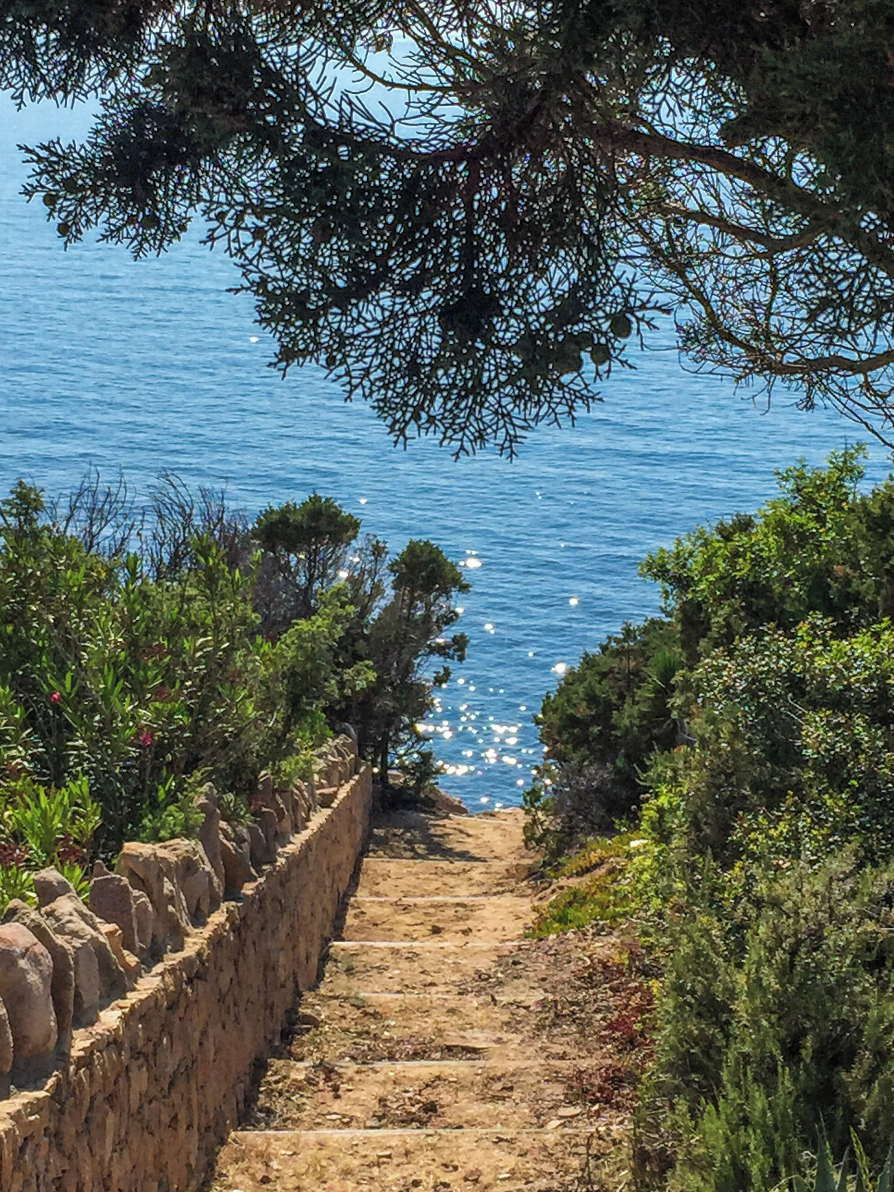 A coastal path leading to the sea, surrounded by greenery and a stone wall.