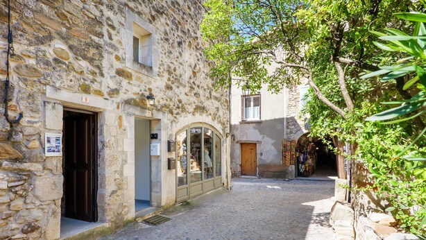 A cobblestone street with stone buildings, a shop with glass display, and a wooden door.