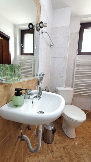 Bathroom - Fantastic 2-Bedroom House in Bansko Sauna, River & Mountain Views (Bansko)