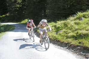 Two cyclists on a paved road with greenery on the sides. - Chalet in Hochkrimml for 6-14 people (Krimml)