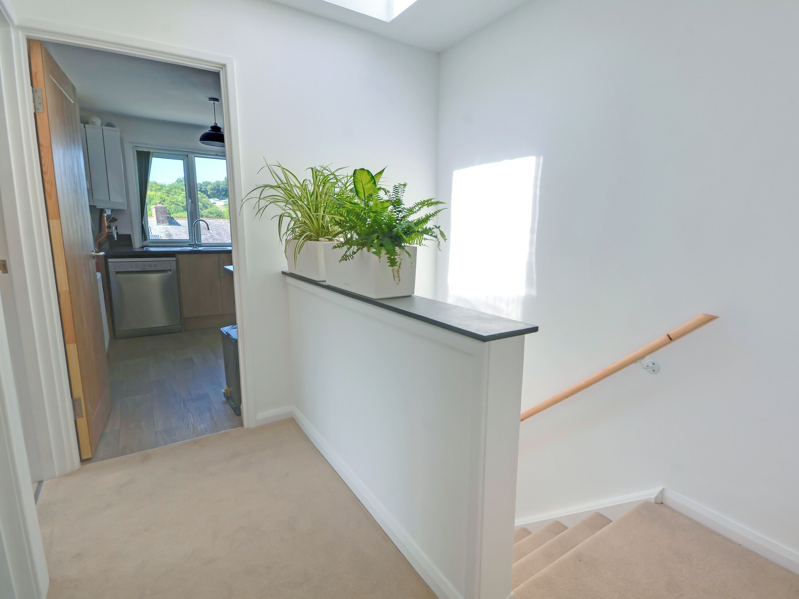 Un couloir avec un escalier, une plante en pot et une vue sur un coin cuisine.