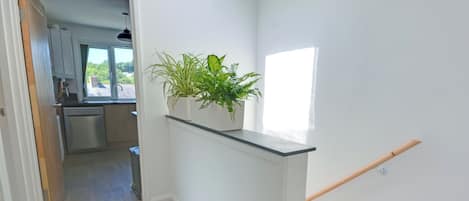 A hallway with a staircase, a potted plant, and a view into a kitchen area.