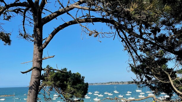 A coastal landscape with a tree, rocky shore, and boats in the water.
