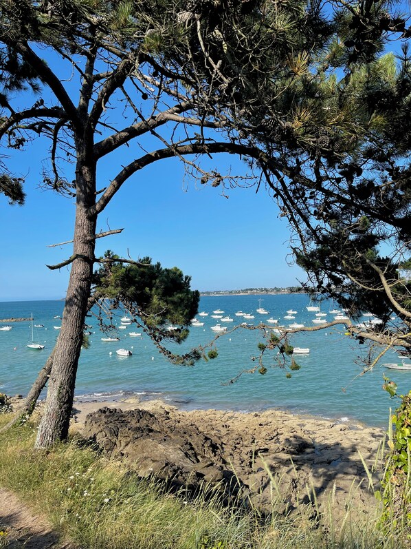 A coastal landscape with a tree, rocky shore, and boats in the water.