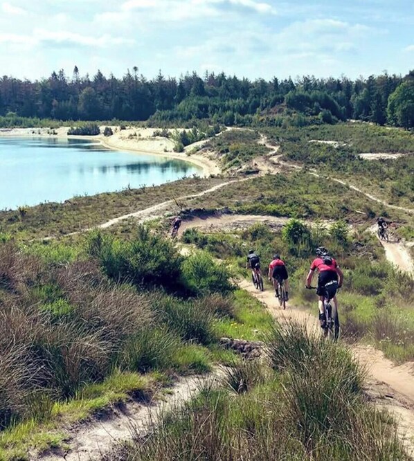 Un groupe de cyclistes sur un chemin de terre, avec un lac et une forêt en arrière-plan.