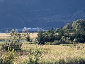 Un paysage naturel comprenant une étendue d’eau, des arbres et un bâtiment situé au loin.