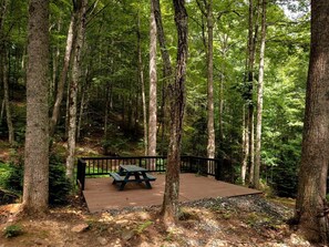 A forested area with a wooden deck and picnic table. - Creekside Glass Suite - Unit 2 (Pet Friendly) (Mars Hill)