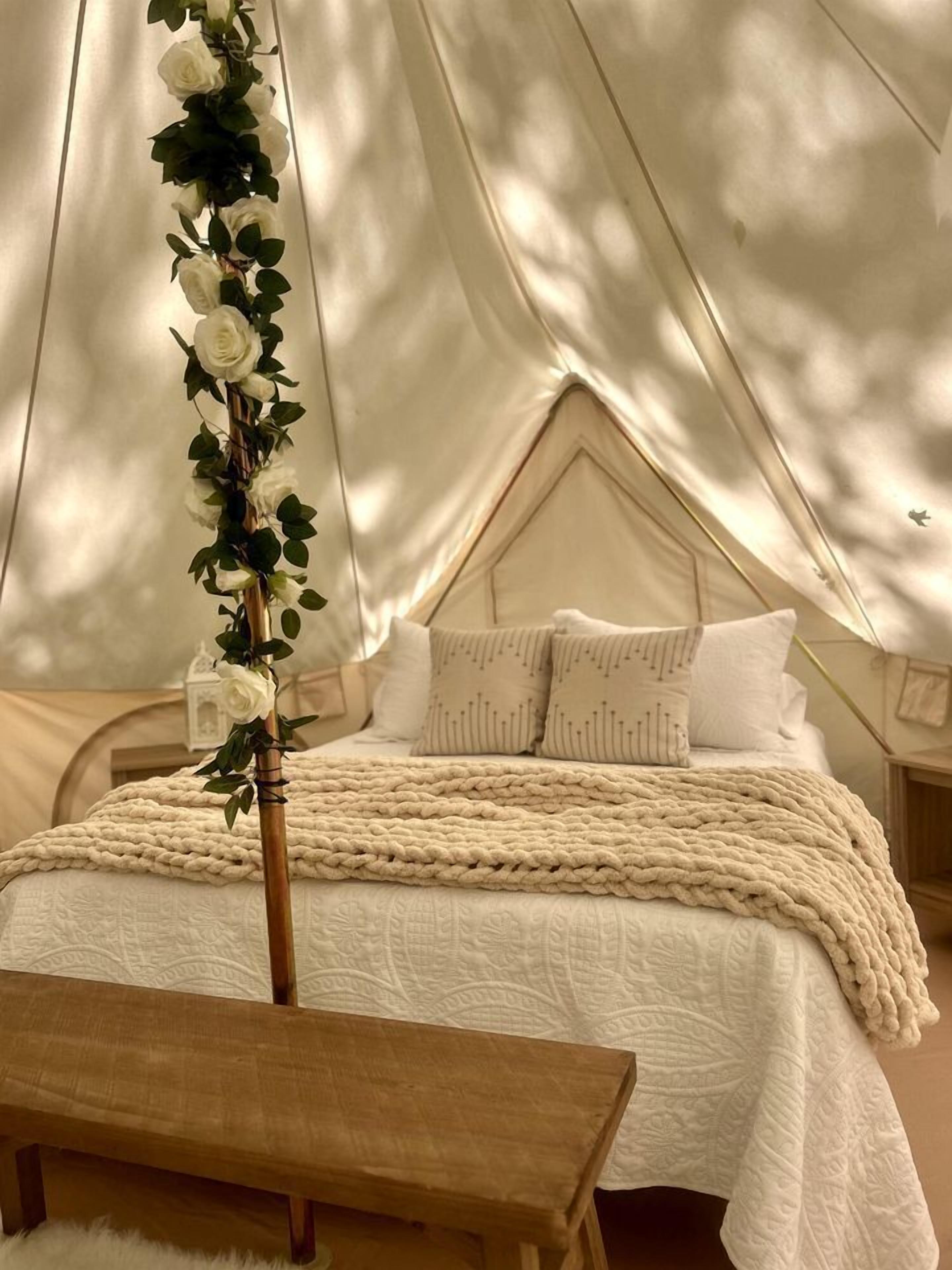 1 chambre, Wi-Fi