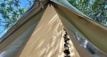 Peaceful Glamping Tents with Elevated Decks, Cozy Fire Pit, and Secluded Forest Views Near Gentry, AR