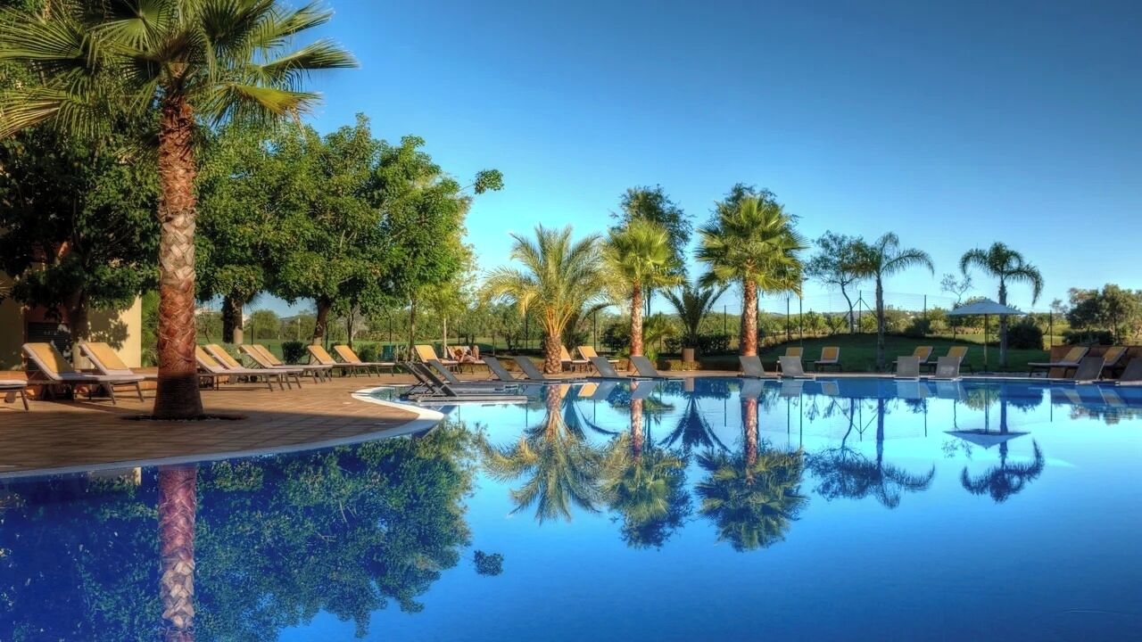 Une piscine à l’eau claire où se reflètent les palmiers et les chaises longues.