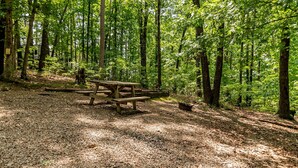 Une zone boisée avec une table de pique-nique en bois, entourée d’arbres.