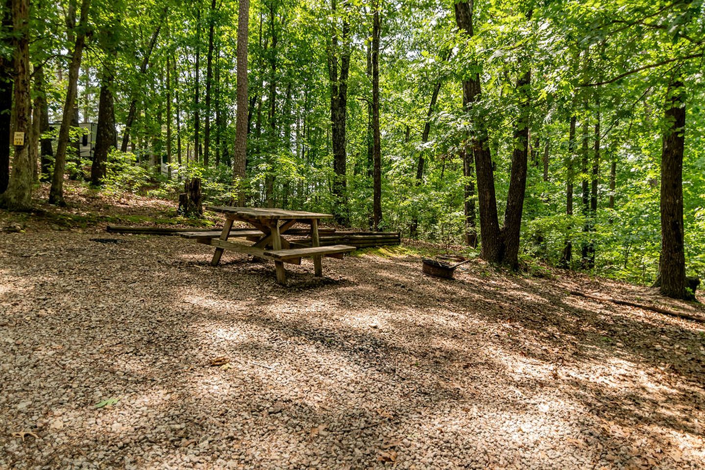 A forested area with a wooden picnic table surrounded by trees.